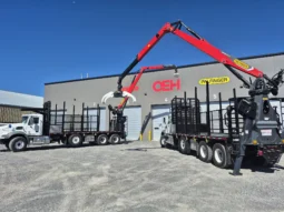 Palfinger Crane Epsilon M13A89 full