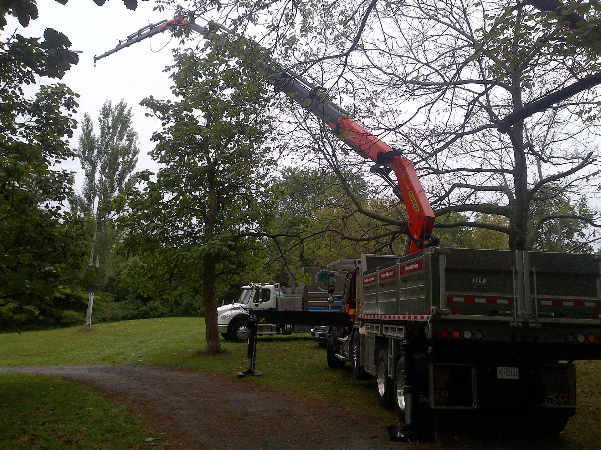 Maintenance and arboriculture | Industries | OEH | Lifting & Handling Equipment Specialist