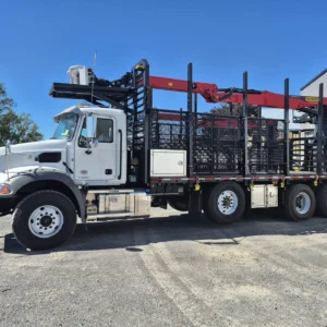 Palfinger Crane Epsilon M13A89 | Custom Truck | OEH | Lifting & Handling Equipment Specialist