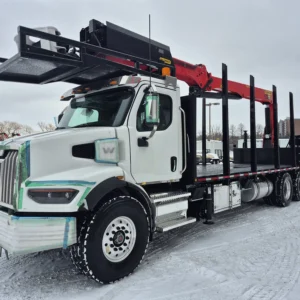 Palfinger PW35001-SH C  | Custom Truck | OEH | Lifting & Handling Equipment Specialist